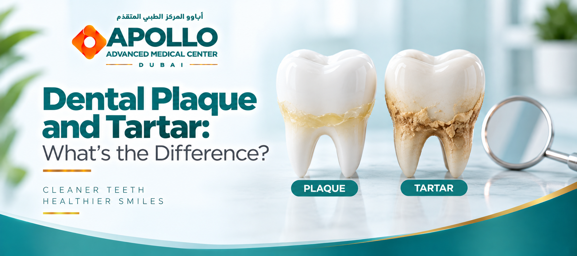 Dental Plaque and Tartar: What’s the Difference?